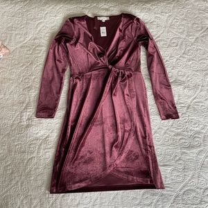 Velvet Winter Dress LOFT